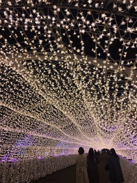 東京メガイルミに投稿された画像（2022/12/1）