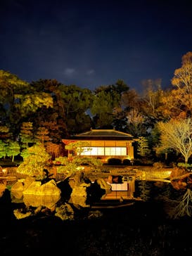 NAKEDヨルモウデ2022平安神宮に投稿された画像（2022/12/1）