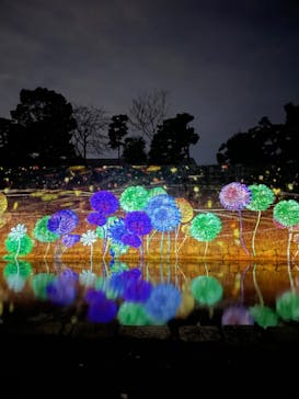 NAKEDヨルモウデ2022平安神宮に投稿された画像（2022/12/1）