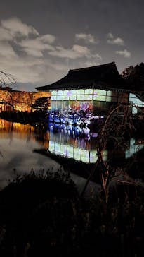 NAKEDヨルモウデ2022平安神宮に投稿された画像（2022/12/1）