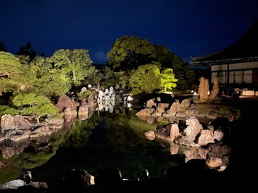 NAKED FLOWERS 2022 秋 世界遺産・二条城に投稿された画像（2022/12/1）