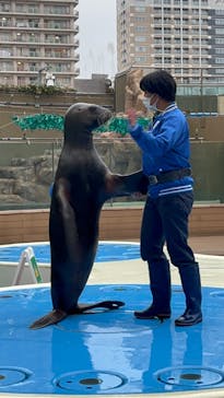 サンシャイン水族館に投稿された画像（2022/12/1）