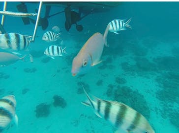 マリンクラブ ベリー 那覇店に投稿された画像（2022/12/1）