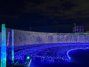 東京メガイルミに投稿された画像（2022/12/1）