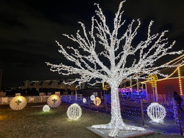 東京メガイルミに投稿された画像（2022/12/1）