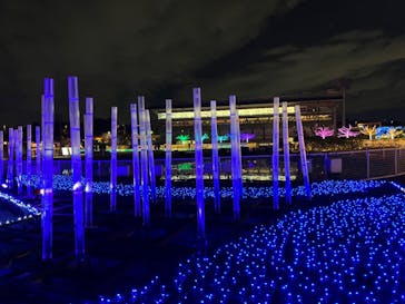 東京メガイルミに投稿された画像（2022/12/1）