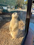 しろとり動物園に投稿された画像（2022/12/2）