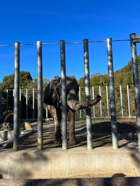 しろとり動物園に投稿された画像（2022/12/1）