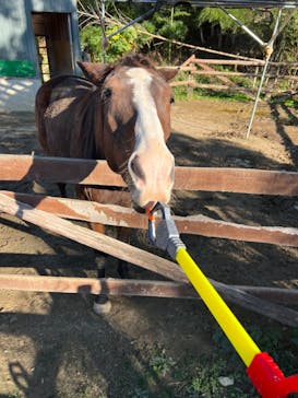 しろとり動物園に投稿された画像（2022/12/1）