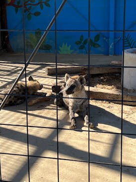しろとり動物園に投稿された画像（2022/12/1）