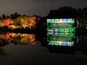 NAKEDヨルモウデ2022平安神宮に投稿された画像（2022/12/1）