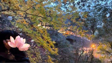 アソビュー株式会社　150881に投稿された画像（2022/12/1）