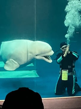 島根県立 しまね海洋館に投稿された画像（2022/12/1）