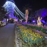 江の島シーキャンドルに投稿された画像（2022/12/2）