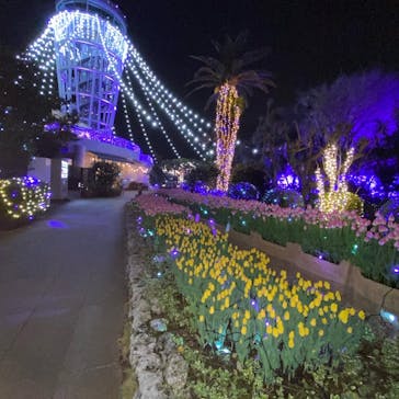 江の島シーキャンドルに投稿された画像（2022/12/2）