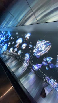 江の島シーキャンドルに投稿された画像（2022/12/2）