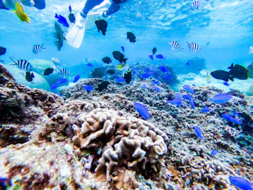 武藤潜水に投稿された画像（2022/12/2）