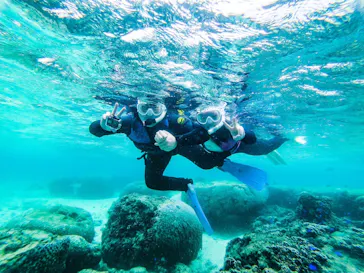 武藤潜水に投稿された画像（2022/12/2）