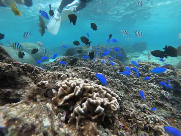 武藤潜水に投稿された画像（2022/12/2）