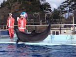 越前松島水族館に投稿された画像（2022/12/2）