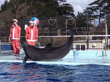 越前松島水族館に投稿された画像（2022/12/2）