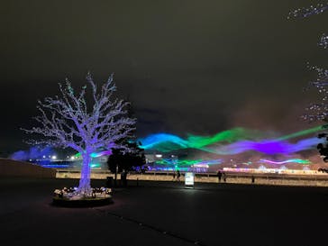 東京メガイルミに投稿された画像（2022/12/2）