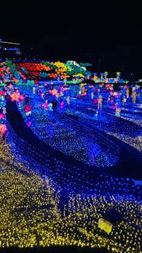 伊豆ぐらんぱる公園に投稿された画像（2022/12/2）