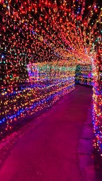 伊豆ぐらんぱる公園に投稿された画像（2022/12/2）