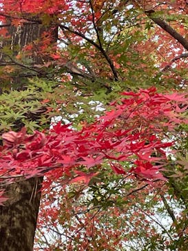 ムーミンバレーパークに投稿された画像（2022/12/2）