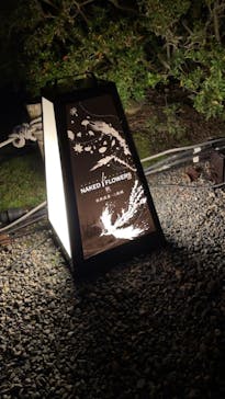 NAKED FLOWERS 2022 秋 世界遺産・二条城に投稿された画像（2022/12/2）