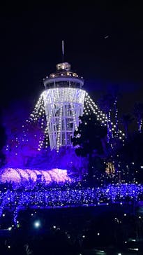 江の島シーキャンドルに投稿された画像（2022/12/2）