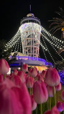 江の島シーキャンドルに投稿された画像（2022/12/2）