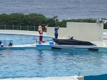 沖縄美ら海水族館に投稿された画像（2022/12/2）
