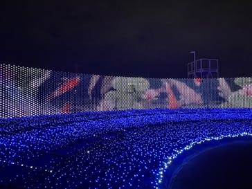 東京メガイルミに投稿された画像（2022/12/2）