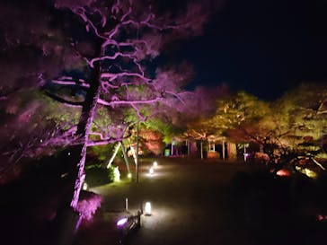 NAKEDヨルモウデ2022平安神宮に投稿された画像（2022/12/2）