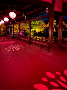 NAKEDヨルモウデ2022平安神宮に投稿された画像（2022/12/3）