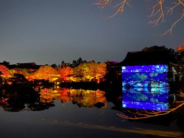 NAKEDヨルモウデ2022平安神宮に投稿された画像（2022/12/3）