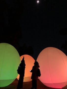 チームラボ ボタニカルガーデン 大阪に投稿された画像（2022/12/3）