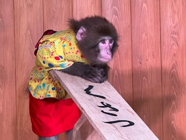 おさるの湯もみ処　おさ湯に投稿された画像（2022/12/3）