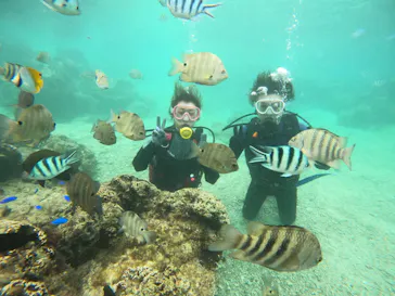 武藤潜水に投稿された画像（2022/12/3）