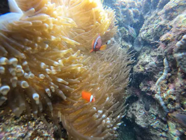 武藤潜水に投稿された画像（2022/12/3）