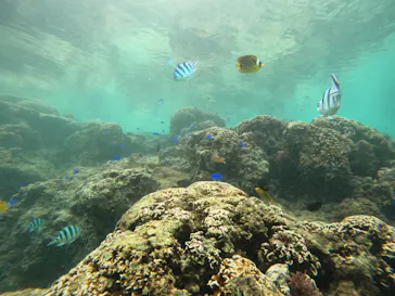 武藤潜水に投稿された画像（2022/12/3）