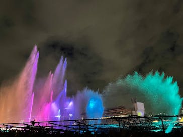 東京メガイルミに投稿された画像（2022/12/3）