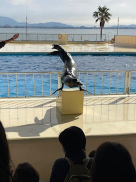 マリンワールド海の中道に投稿された画像（2022/12/3）