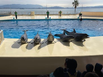 マリンワールド海の中道に投稿された画像（2022/12/3）