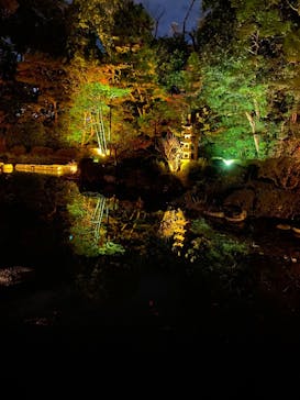 NAKEDヨルモウデ2022平安神宮に投稿された画像（2022/12/3）