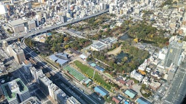 ハルカス300(展望台)に投稿された画像（2022/12/3）