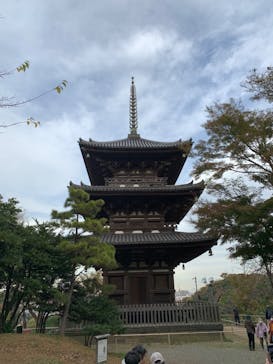 三溪園に投稿された画像（2022/12/3）