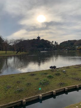 三溪園に投稿された画像（2022/12/3）