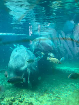 天王寺動物園に投稿された画像（2022/12/3）